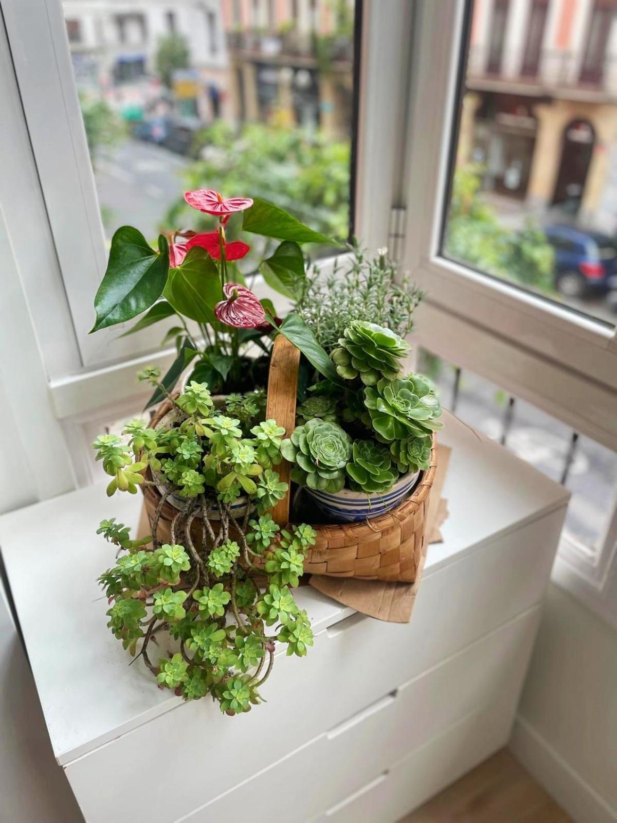 Loaina Apartment Билбао Екстериор снимка